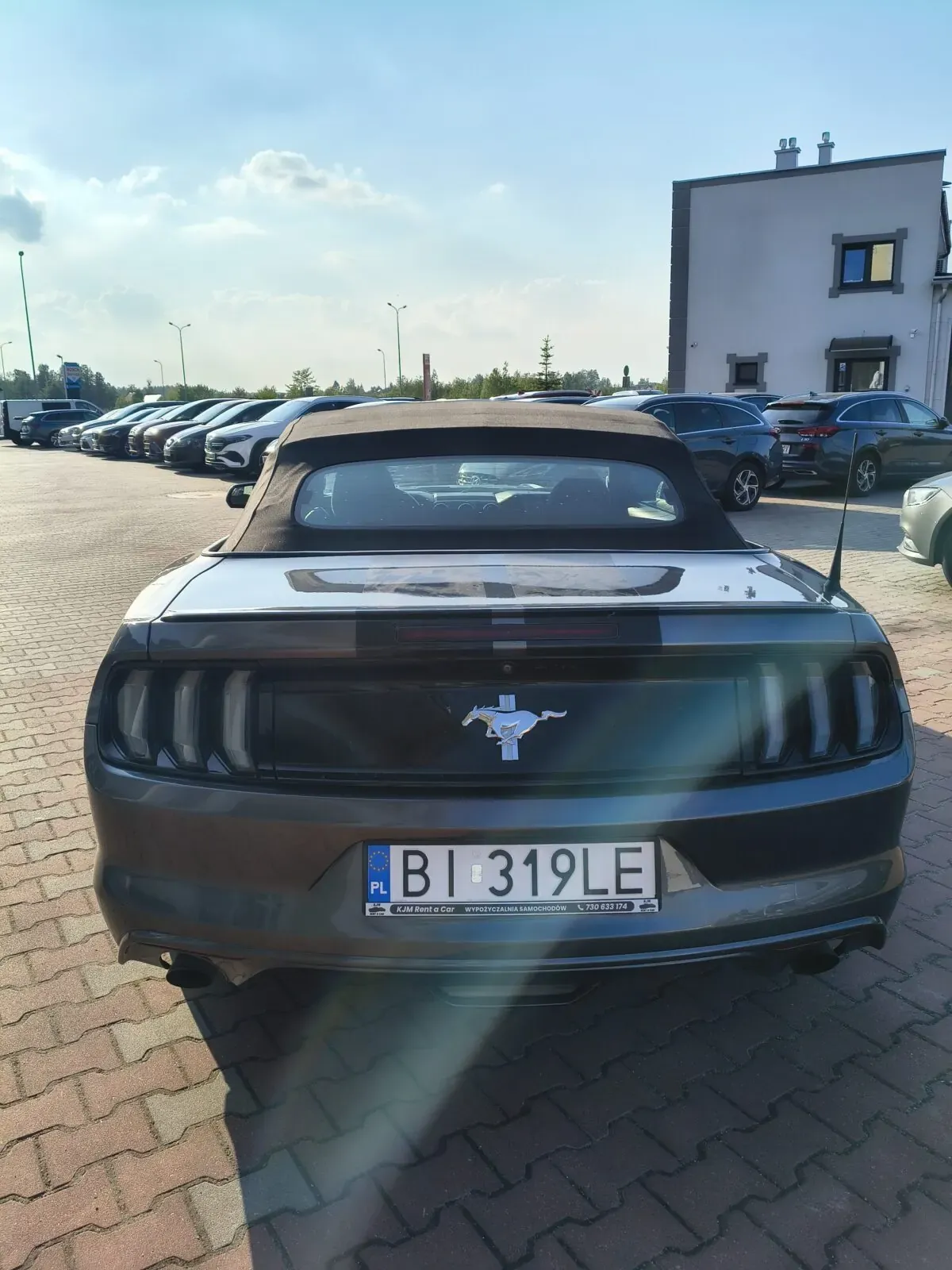 Ford Mustang, rok 2016, zdjęcie 3